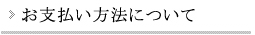 お支払い方法について