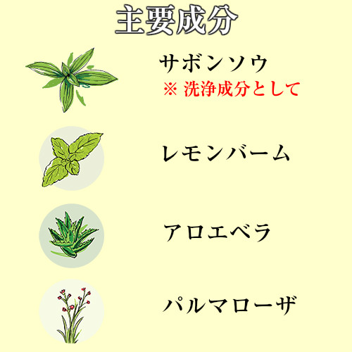 【洗顔】フェイシャルウォッシングジェル 30ml