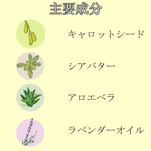 ナリッシュボディローション 200ml