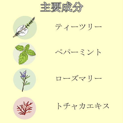 脂性肌~普通肌【美容液】バランシング&モイスチャーフェイシャルセラム 50ml