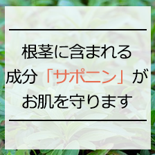 年中愛用できるものを